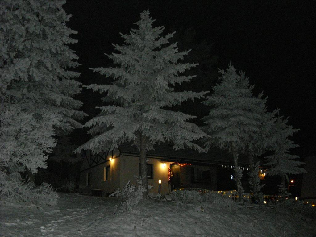 Dom Panorama Pod Gwiazdami Villa Kopaniec Habitación foto